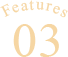 Features03